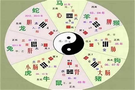 俐的五行|俐字五行属什么